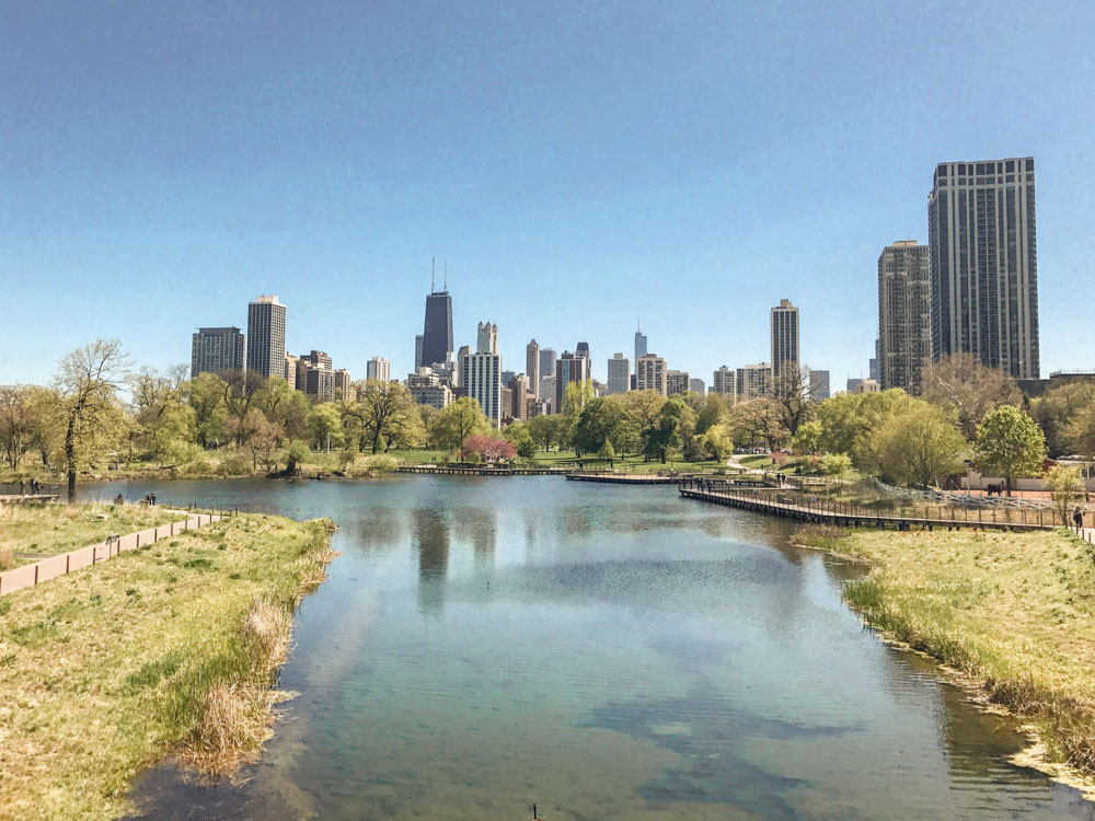 Chicago downtown skyline from Lincoln Park