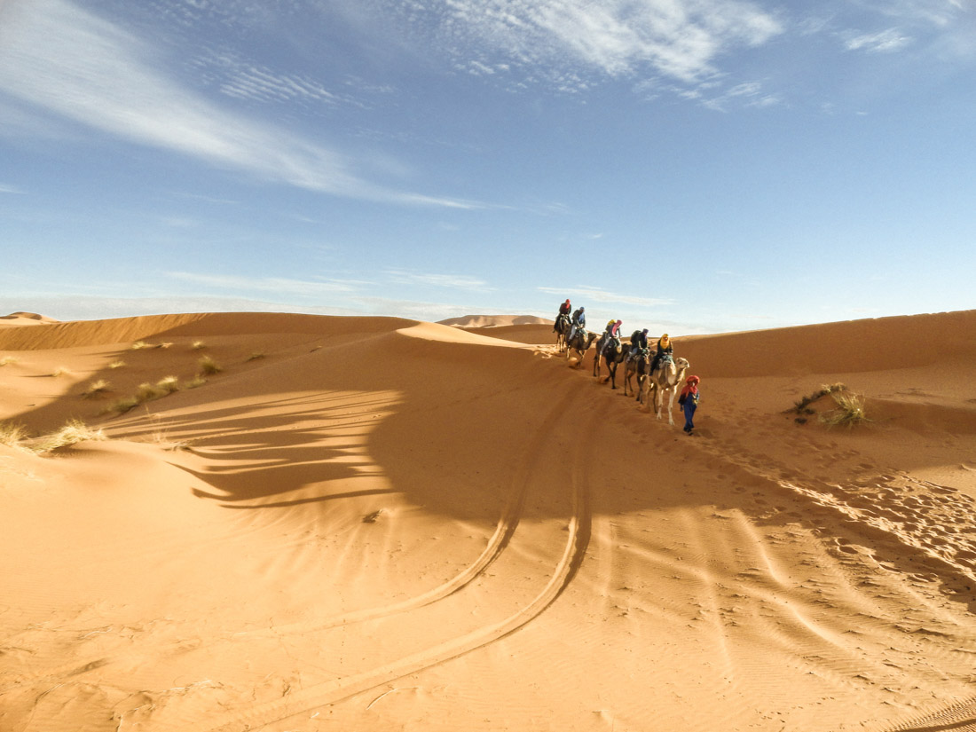 Camel caravan walking over Sahara Desert sand dunes in Morocco