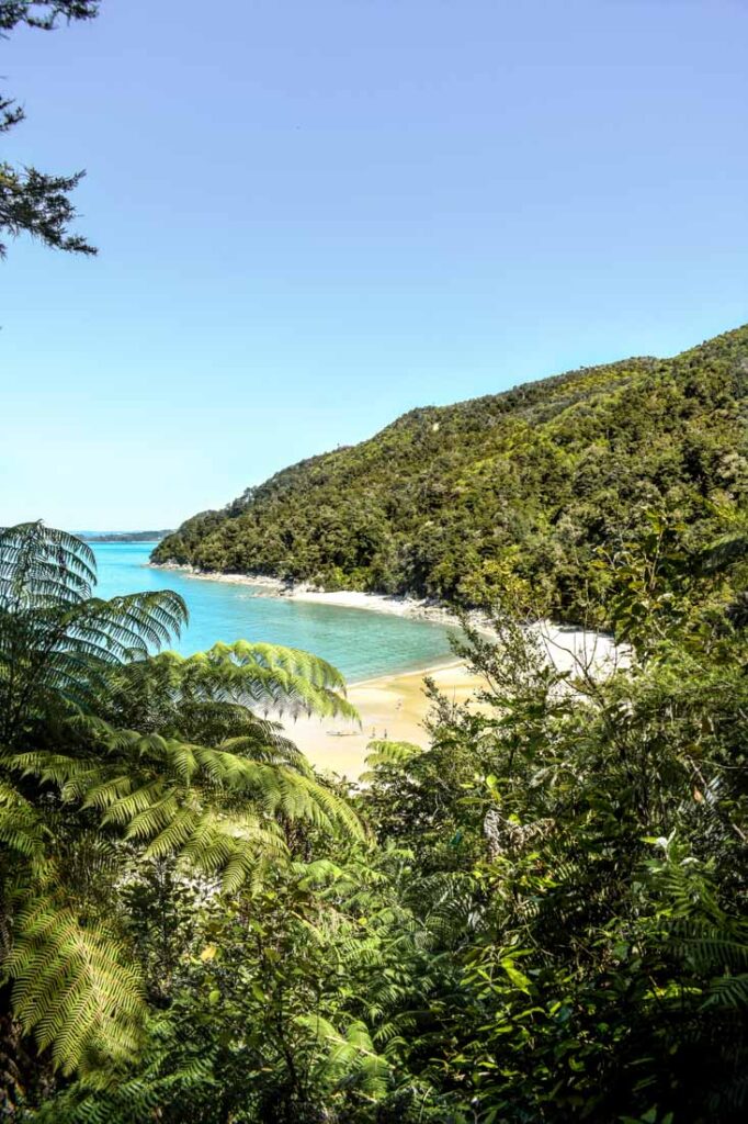 Hike Abel Tasman, New Zealand Beach hidden by bushes in Abel Tasman, New Zealand