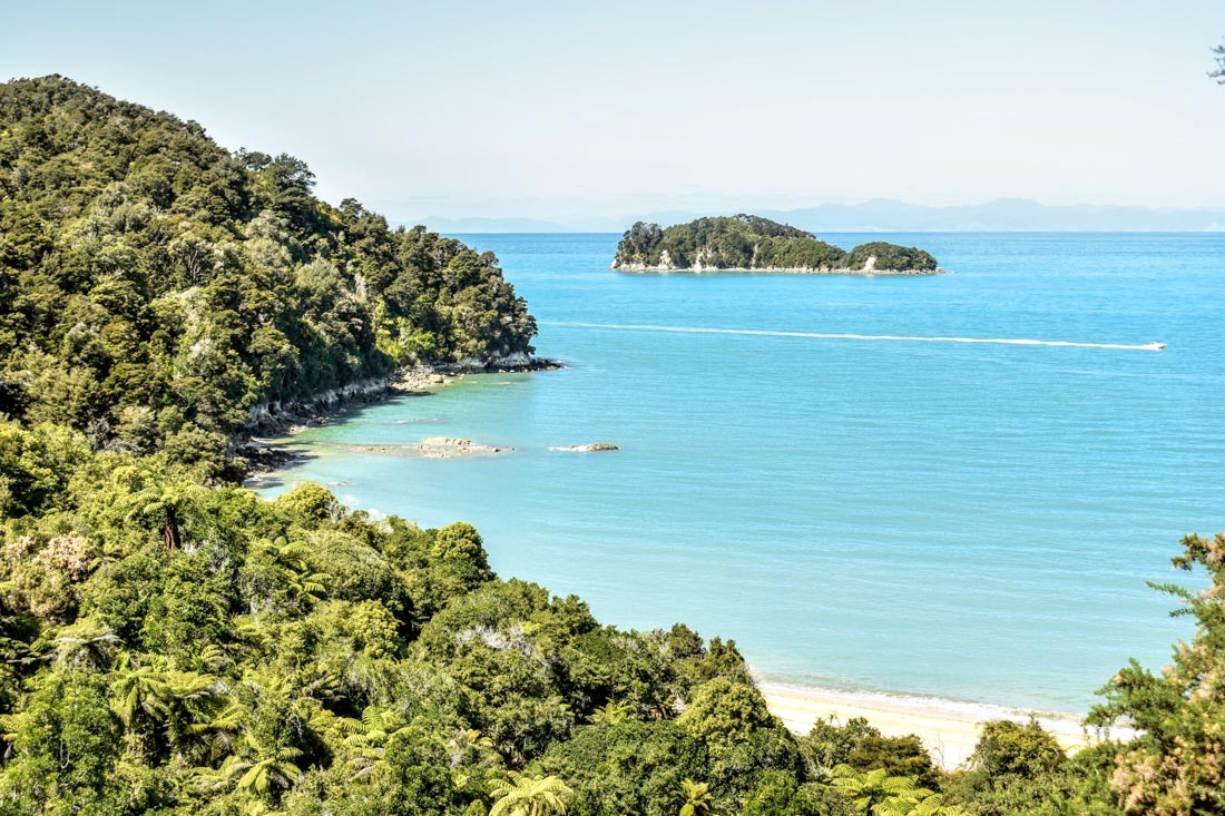 Abel Tasman National Park beach and forest