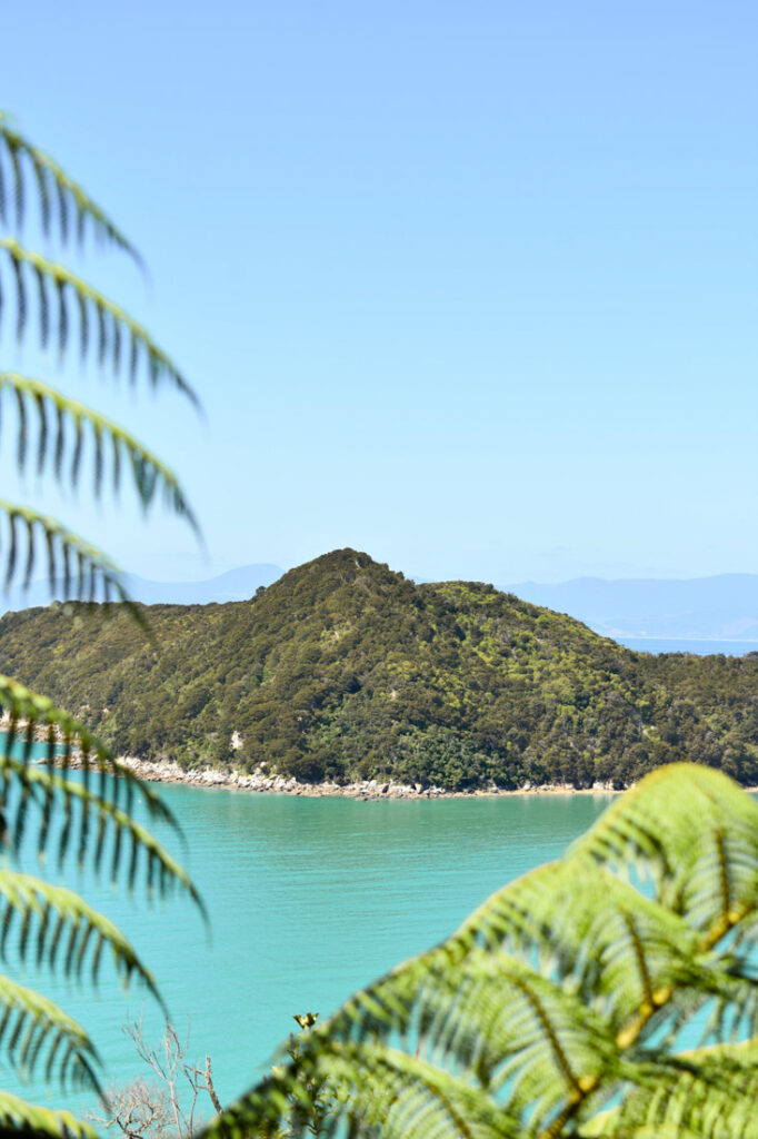 Hike Abel Tasman, New Zealand Island behind leaves in Abel Tasman National Park